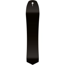 Spring Break - Diamond Tail