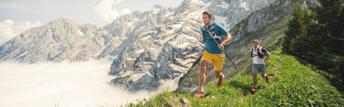 Hiking & Trekking Poles